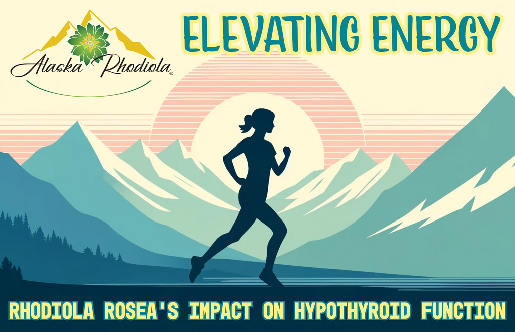 Elevating Energy: Rhodiola Rosea's Impact on Hypothyroid Function